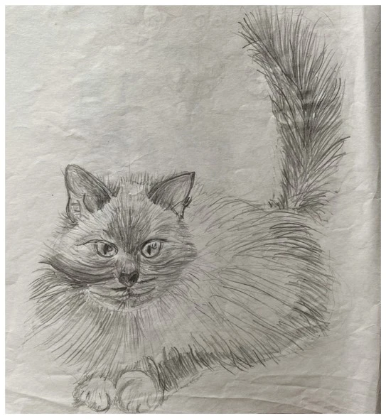 Animal worlds