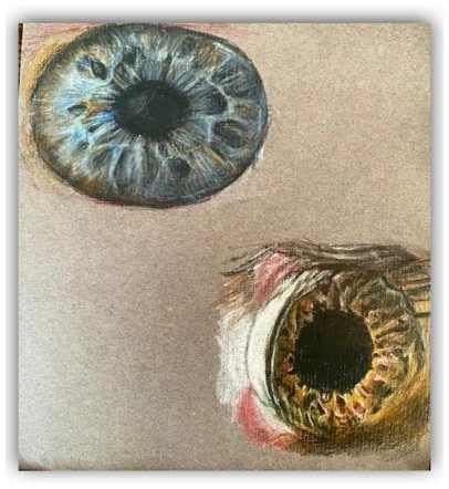 the Gaze