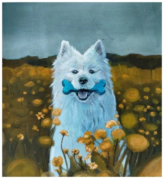 A Dog’s World