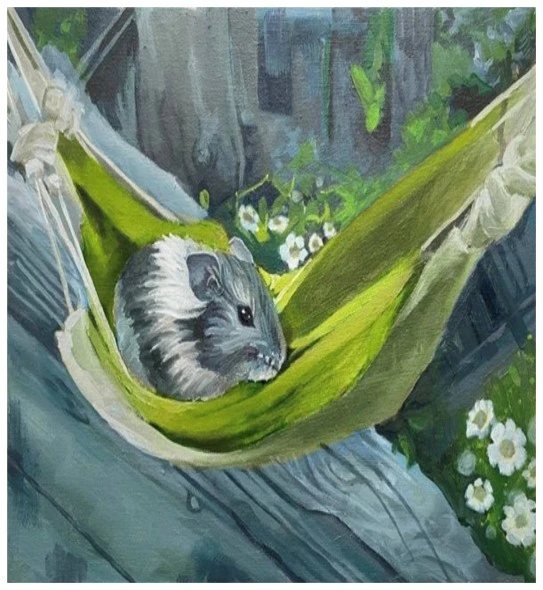 А hamster’s World